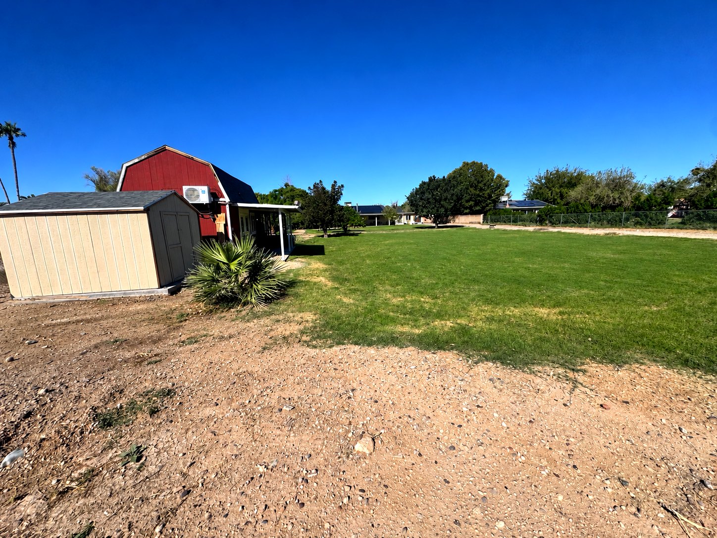 backyard